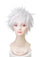 Jujutsu Kaisen Cosplay Wig | animota