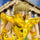Saint Seiya figures and goods | animota